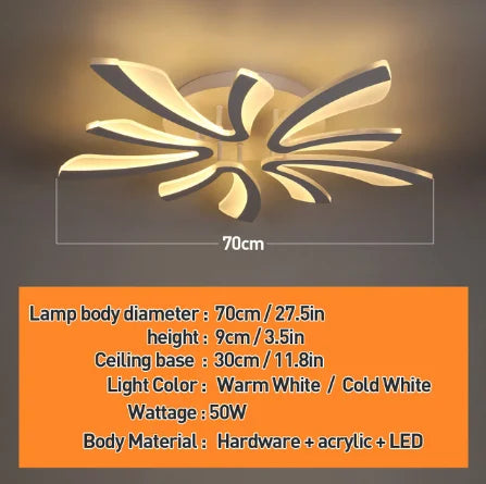 Modern LED Ceiling Lamp