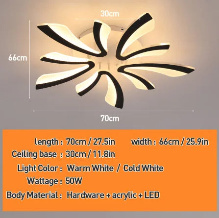 Modern LED Ceiling Lamp