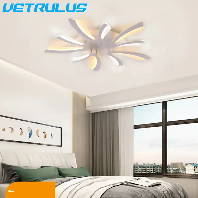Modern LED Ceiling Lamp