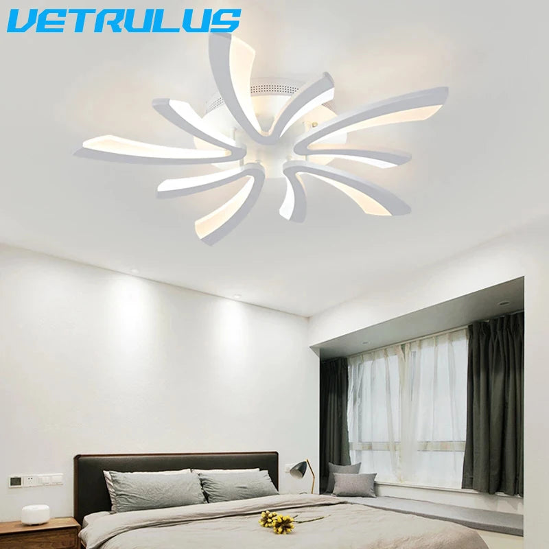 Modern LED Ceiling Lamp