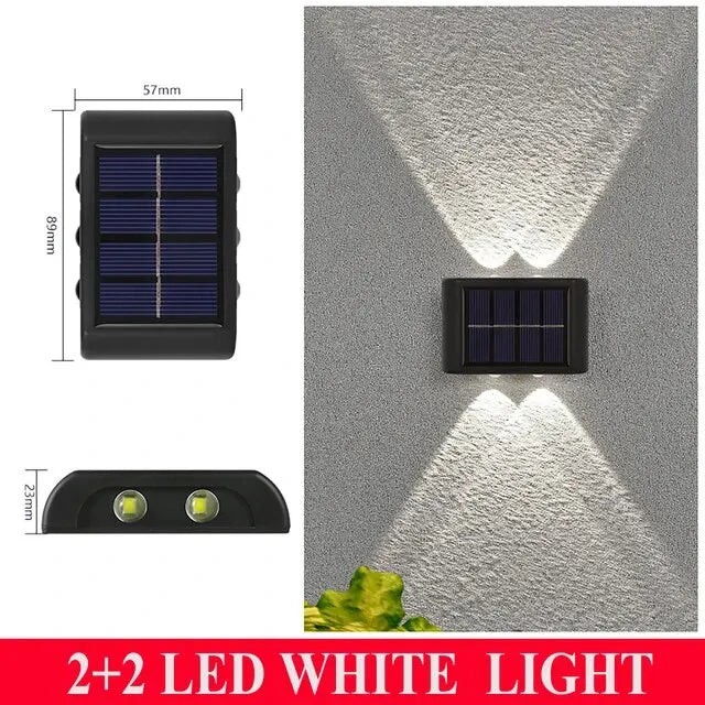 Luminous LED Wall Lights
