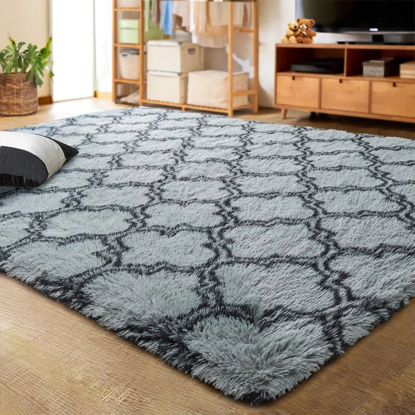 Living Room Area Rug