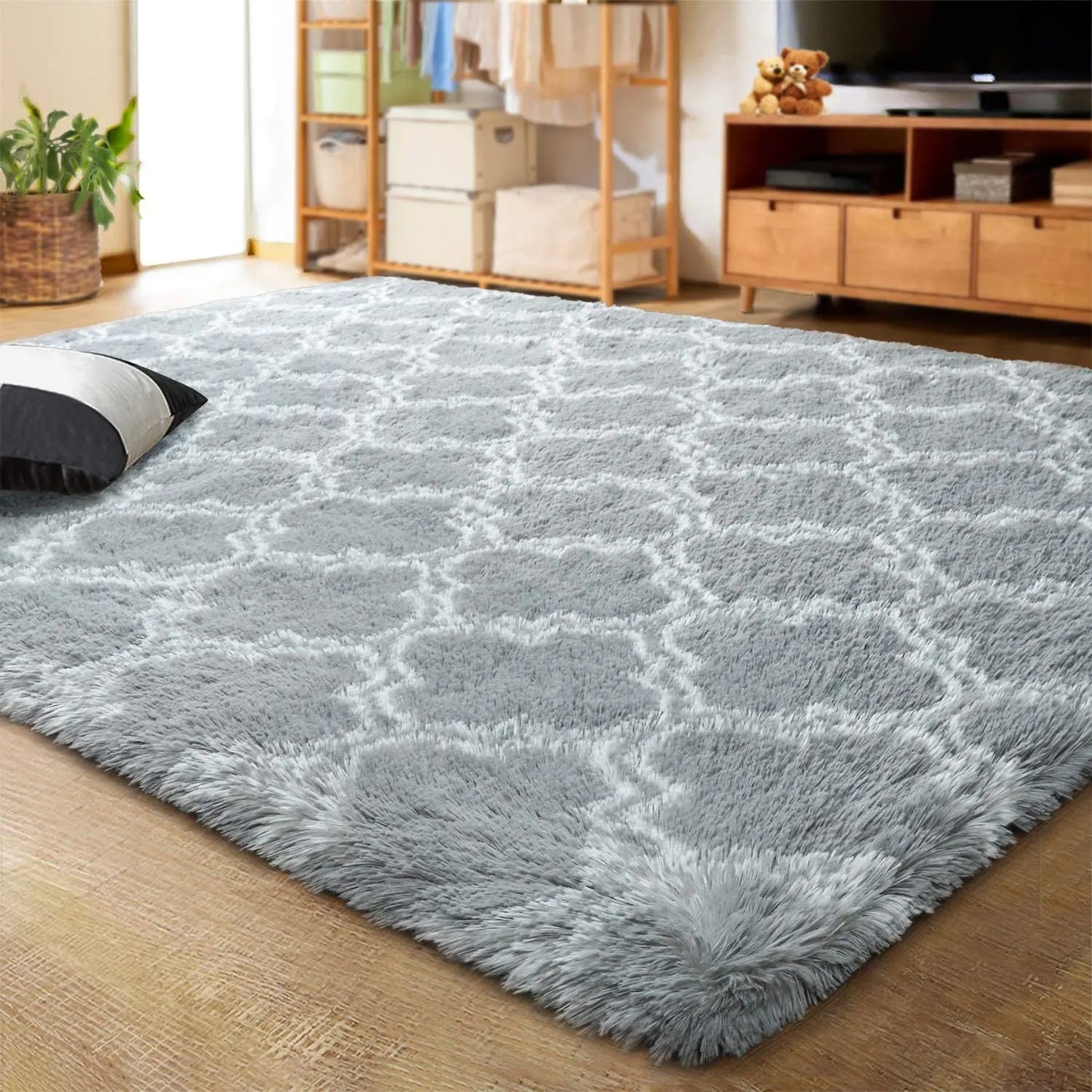 Living Room Area Rug