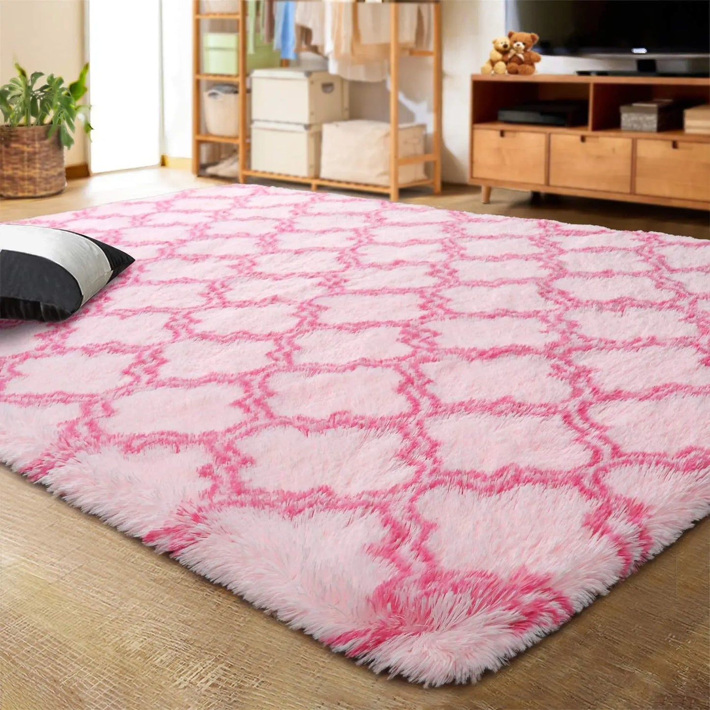 Living Room Area Rug