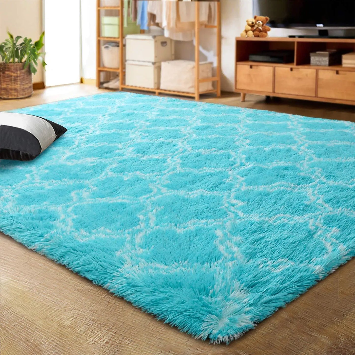Living Room Area Rug