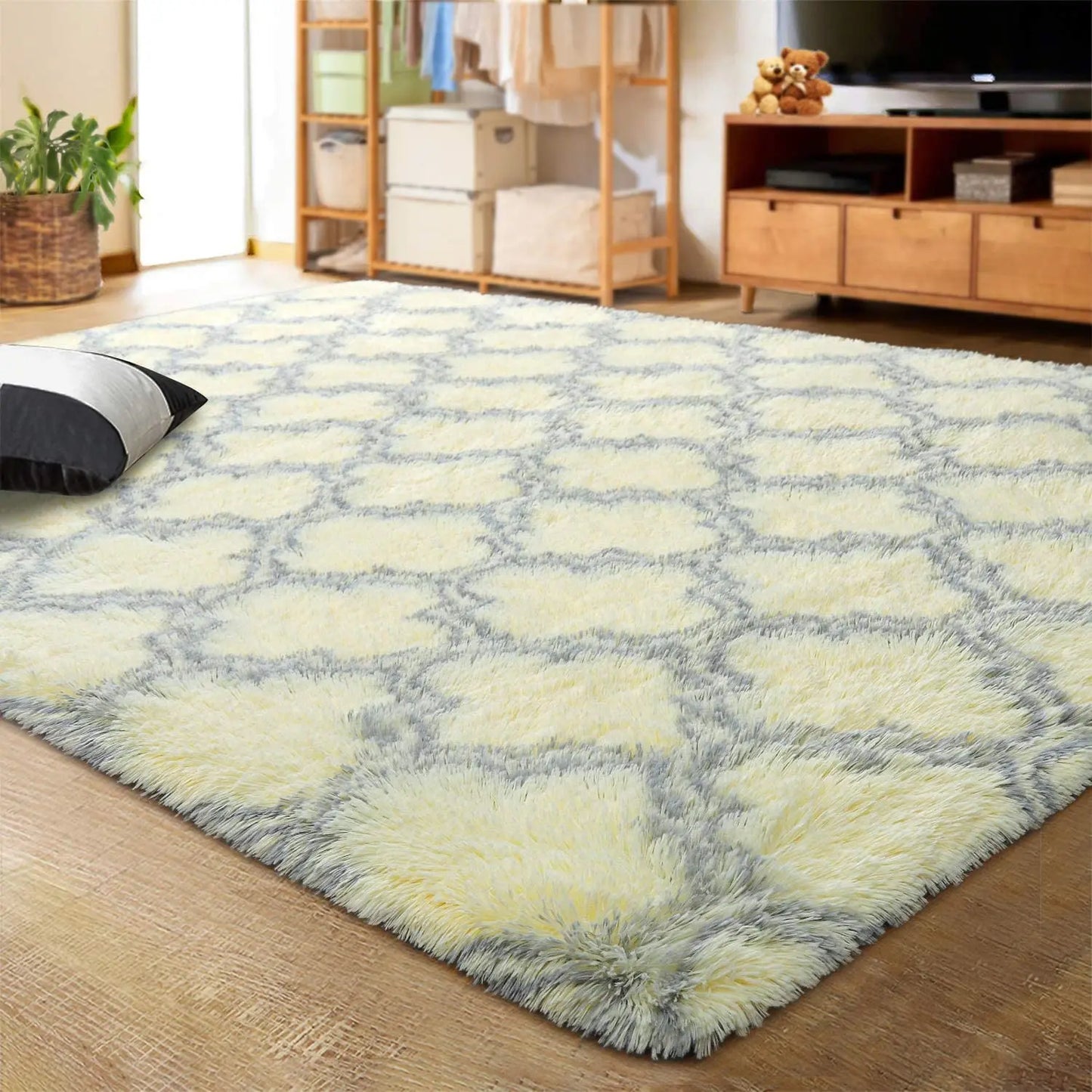 Living Room Area Rug