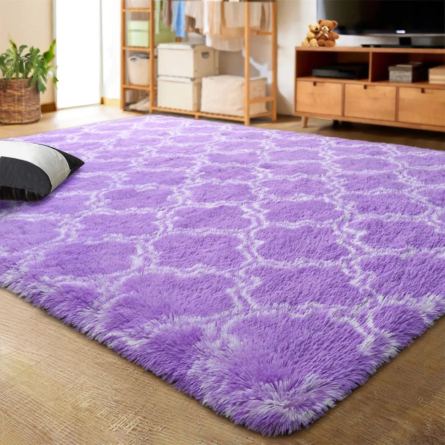 Living Room Area Rug