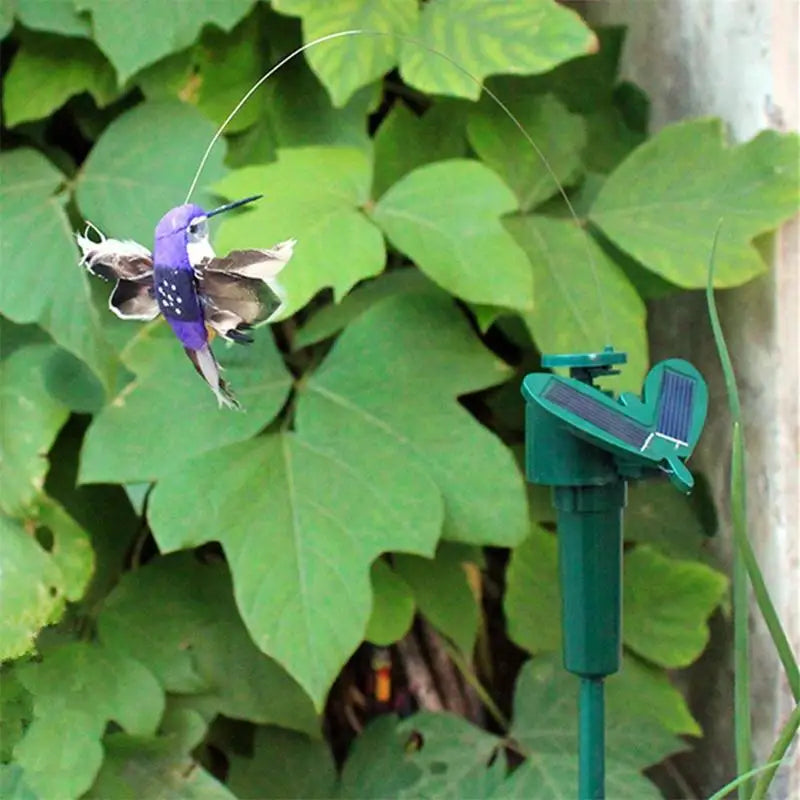 Solar Powered Flying Hummingbird